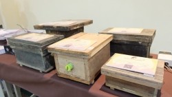 20230331062210.jpg - บรรยากาศพิธีมอบประกาศนียบัตร โครงการบัณฑิตพันธุ์ใหม่ (Non-Degree) สาขานวัตกรรมเกษตรอินทรีย์ | https://facagri.cmru.ac.th/web