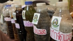 20230331062222.jpg - บรรยากาศพิธีมอบประกาศนียบัตร โครงการบัณฑิตพันธุ์ใหม่ (Non-Degree) สาขานวัตกรรมเกษตรอินทรีย์ | https://facagri.cmru.ac.th/web