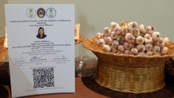 20230331062226.jpg - บรรยากาศพิธีมอบประกาศนียบัตร โครงการบัณฑิตพันธุ์ใหม่ (Non-Degree) สาขานวัตกรรมเกษตรอินทรีย์ | https://facagri.cmru.ac.th/web