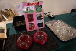 20231227110233.jpg - พิธีมอบประกาศนียบัตร โครงการบัณฑิตพันธุ์ใหม่ รุ่นที่ 2 | https://facagri.cmru.ac.th/web