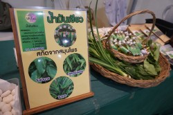20231227110234.jpg - พิธีมอบประกาศนียบัตร โครงการบัณฑิตพันธุ์ใหม่ รุ่นที่ 2 | https://facagri.cmru.ac.th/web