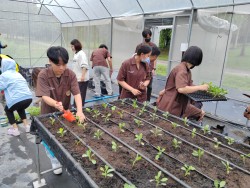 20231227132233.jpg - โครงการการเตรียมความพร้อมสู่การเป็นผู้ประกอบการด้านนวัตกรรมทางเกษตรรุ่นใหม่ | https://facagri.cmru.ac.th/web