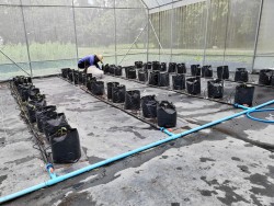 20231227132235.jpg - โครงการการเตรียมความพร้อมสู่การเป็นผู้ประกอบการด้านนวัตกรรมทางเกษตรรุ่นใหม่ | https://facagri.cmru.ac.th/web