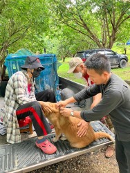 20231228100030(1).jpg - บริการวิชาการและวิชาชีพด้านปศุสัตว์ สู่ชุมชน | https://facagri.cmru.ac.th/web