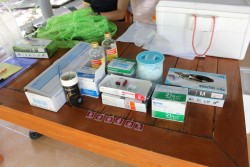 20231228100031(1).jpg - บริการวิชาการและวิชาชีพด้านปศุสัตว์ สู่ชุมชน | https://facagri.cmru.ac.th/web