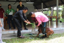 20231228100034.jpg - บริการวิชาการและวิชาชีพด้านปศุสัตว์ สู่ชุมชน | https://facagri.cmru.ac.th/web