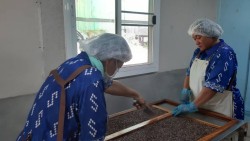 20231228100328.jpg - การต่อยอดพัฒนาผลิตภัณฑ์ใหม่จากข้าวไรซ์เบอร์รี | https://facagri.cmru.ac.th/web