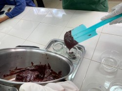 20231228100532(8).jpg - กิจกรรมการผลิตและแปรรูปสเปรดโกโก้ | https://facagri.cmru.ac.th/web