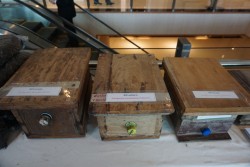 20231228100922.jpg - การจัดนิทรรศการประชุมสัมมนาวิชาการเพื่อสร้างและพัฒนากำลังคนที่มีทักษะและสมรรถนะสูง โครงการผลิตบัณฑิตพันธุ์ใหม่  | https://facagri.cmru.ac.th/web