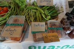 20231228100929.jpg - การจัดนิทรรศการประชุมสัมมนาวิชาการเพื่อสร้างและพัฒนากำลังคนที่มีทักษะและสมรรถนะสูง โครงการผลิตบัณฑิตพันธุ์ใหม่  | https://facagri.cmru.ac.th/web