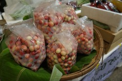 20240117131520.jpg - โครงการส่งเสริมและสนับสนุนการเกษตรอินทรีย์สู่การพัฒนาท้องถิ่นที่ยั่งยืน  รับรองแปลงมาตรฐานเกษตรอินทรีย์ 100 แปลง | https://facagri.cmru.ac.th/web