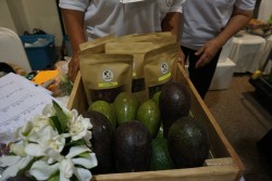 20240117131530.jpg - โครงการส่งเสริมและสนับสนุนการเกษตรอินทรีย์สู่การพัฒนาท้องถิ่นที่ยั่งยืน  รับรองแปลงมาตรฐานเกษตรอินทรีย์ 100 แปลง | https://facagri.cmru.ac.th/web