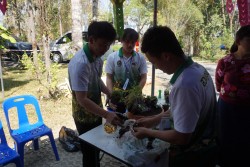 20240209135034.jpg - การแข่งขันทักษะทางวิชาชีพการจัดสวนถาด | https://facagri.cmru.ac.th/web