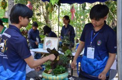 20240209135231.jpg - การแข่งขันทักษะทางวิชาชีพการจัดสวนถาด | https://facagri.cmru.ac.th/web