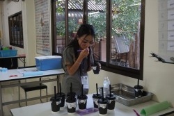 20240209163524.jpg - การแข่งทักษะการทดสอบลักษณะทางประสาทสัมผัส | https://facagri.cmru.ac.th/web