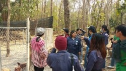 20210811013902.jpg - โครงการ การอบรมทักษะการเป็นผู้ประกอบการฟาร์มปศุสัตว์สีเขียวในท้องถิ่นสู่การเป็นผู้นำ | https://facagri.cmru.ac.th/web