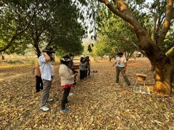 20240318093525.jpg - อบรมการอนุรักษ์ระบบนิเวศเกษตรอินทรีย์ด้วยผึ้งชันโรง | https://facagri.cmru.ac.th/web