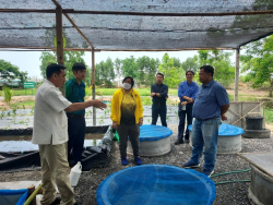 20240515145011(14).jpg - ลงพื้นที่เตรียมความพร้อมการจัดการเรียนการสอนหลักสูตร เกษตรสีเขียว | https://facagri.cmru.ac.th/web