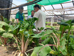 20240515145011(8).jpg - ลงพื้นที่เตรียมความพร้อมการจัดการเรียนการสอนหลักสูตร เกษตรสีเขียว | https://facagri.cmru.ac.th/web